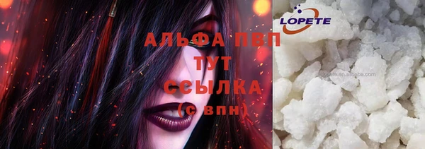 дживик Няндома