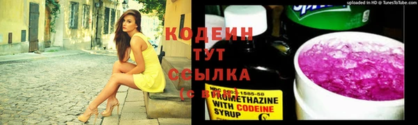 гашик Осташков