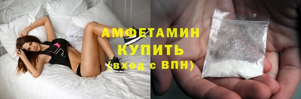 дживик Няндома