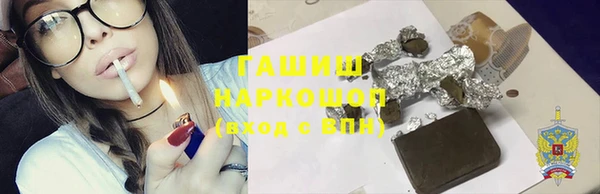 дживик Няндома