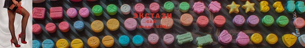 дживик Няндома