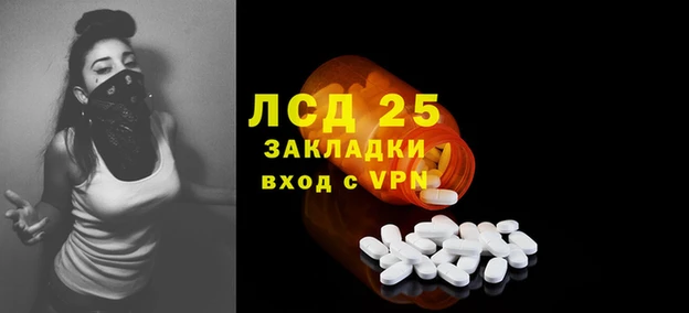 дживик Няндома