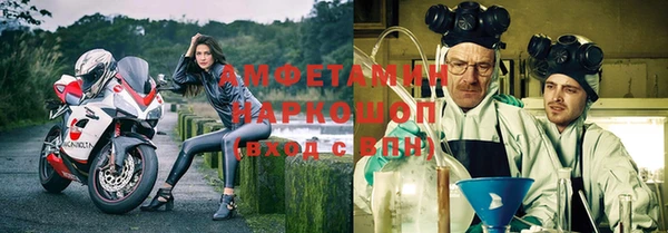 дживик Няндома