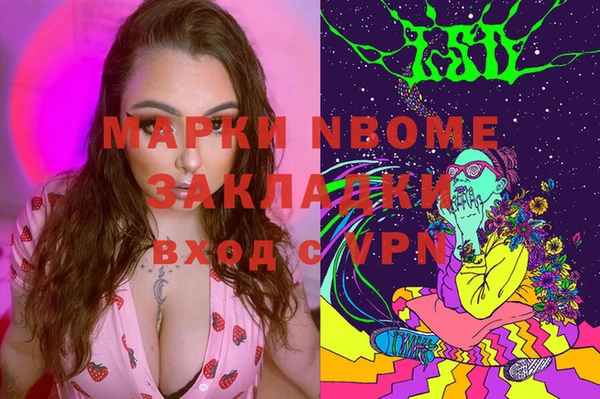 дживик Няндома