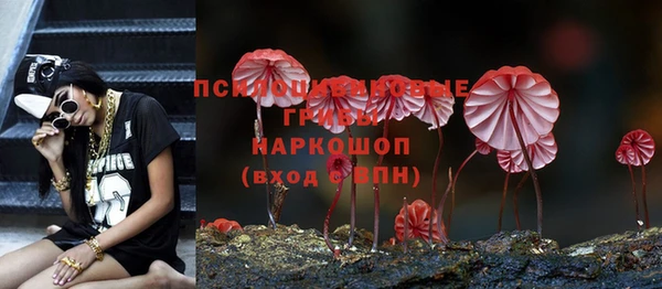 дживик Няндома