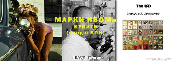 дживик Няндома