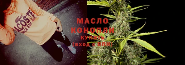 дживик Няндома