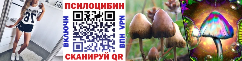 Галлюциногенные грибы Magic Shrooms Полесск